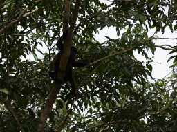 QueenVictoria2015-038